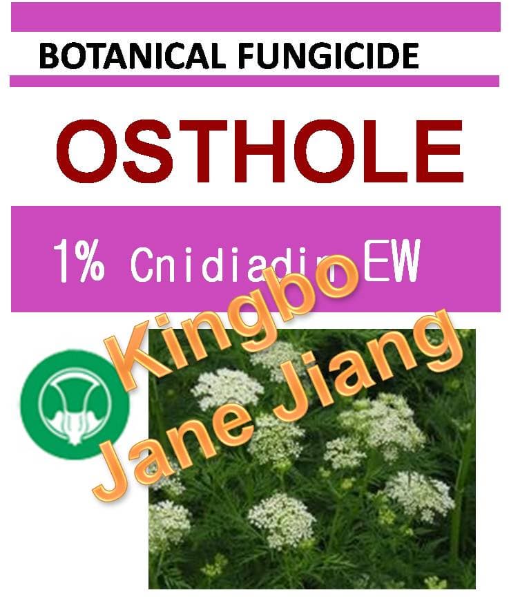 botanical fungicide_ 1_ Cnidiadin EW_ organic plant extract
